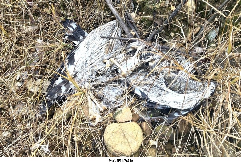 news_photo_1