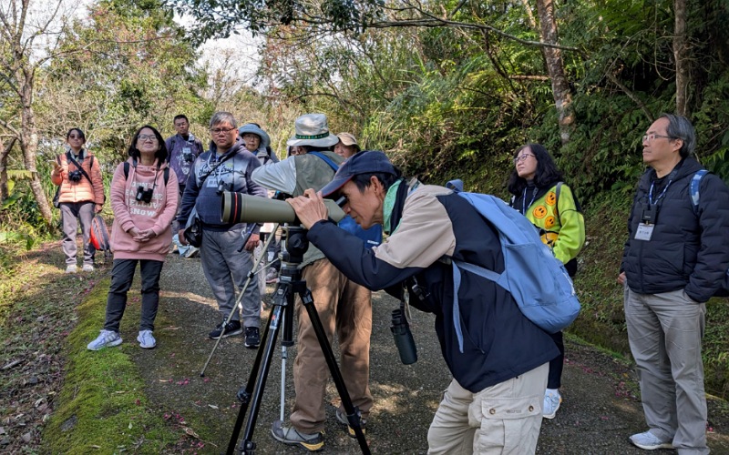 「東」進山林，與鳥相逢        3/7、3/21「鳥類觀察家」活動登場