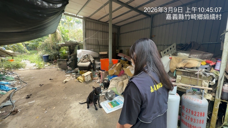放養不是自由是失責 嘉縣飼主放養犬隻肇事 遭重罰5萬3千元並移送法辦