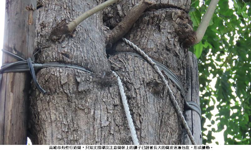 news photo