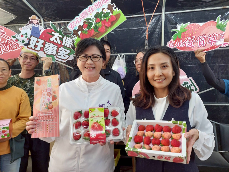 「莓來玩不行」太保草莓季甜蜜登場 專屬提盒送禮自用都吸睛 嘉義太保市公所推7大草莓園串聯採摘地圖