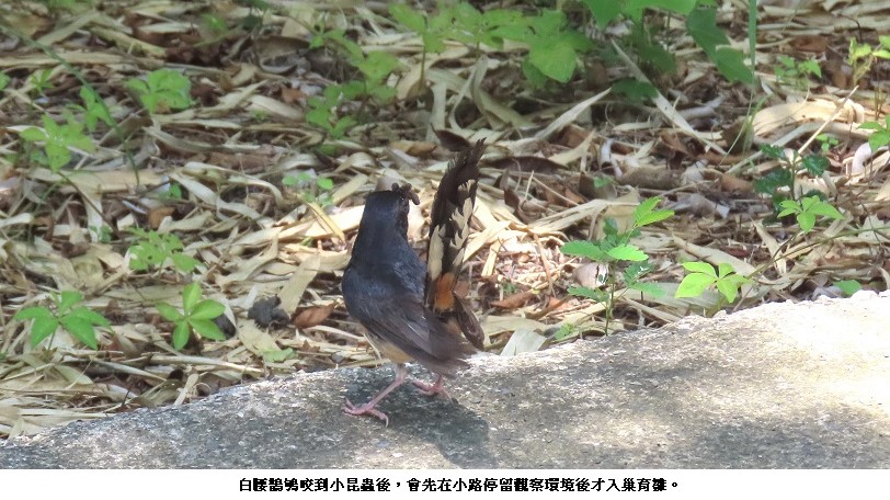 news_photo_1