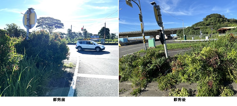 樹障遮擋行車視線 張介能博士行善剪除