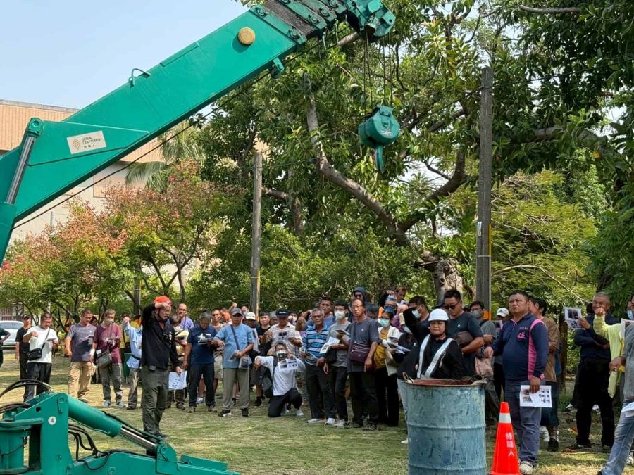 「樹」業有專攻！ 高雄市培訓修剪專業人才，為市民守護都市林木