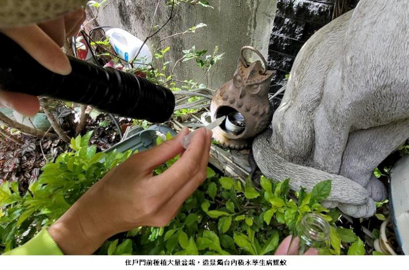 高雄市本土登革熱+14 左營區青雲宮市集（新上、新中、新下里）即日起解除防疫管制