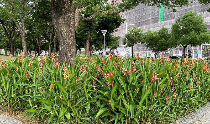 news_photo_1
