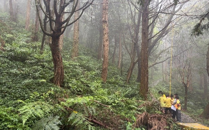 走入東眼山「森」呼吸！      新竹分署推戶外教學車資補助