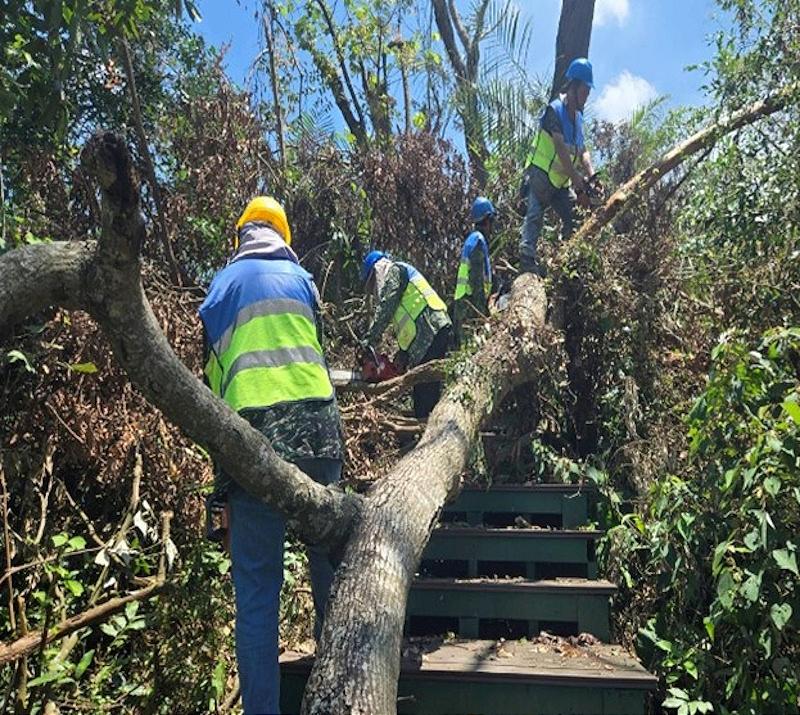 嘉義蘭潭後山主線步道延後至8月15日再評估是否開放
