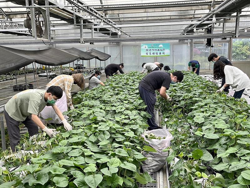 news_photo_2