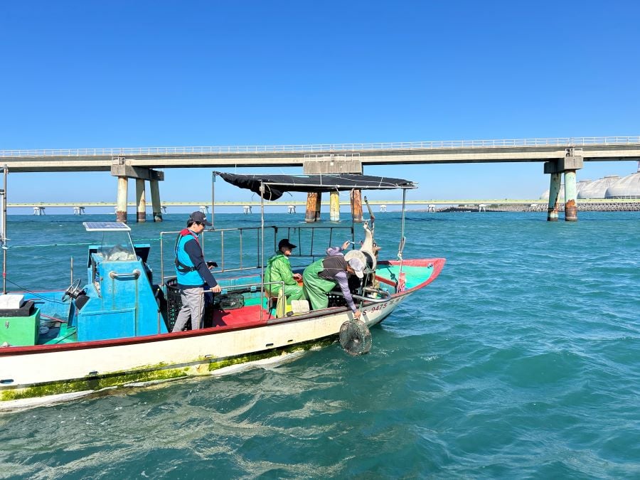 保育高市沿近海漁業資源　海洋局加強取締籠具漁船違法作業