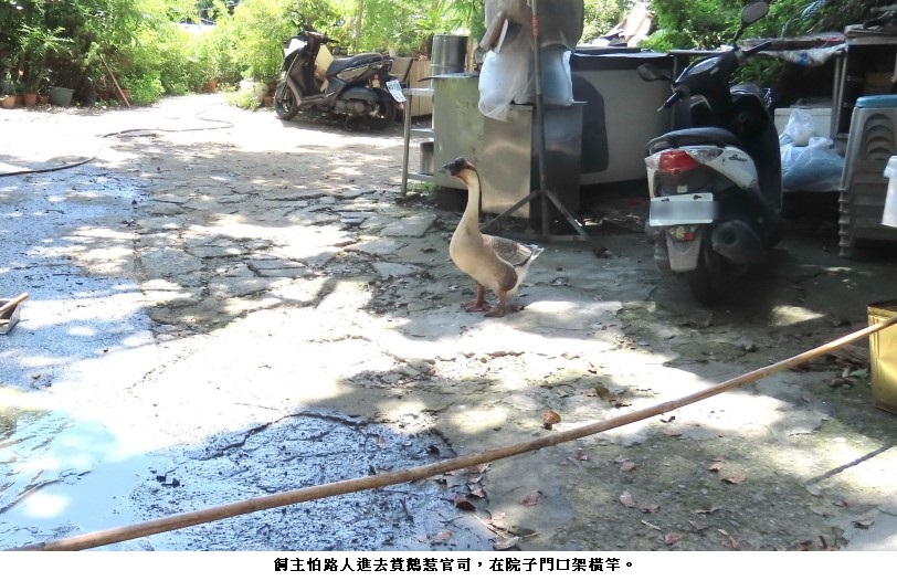 news_photo_1