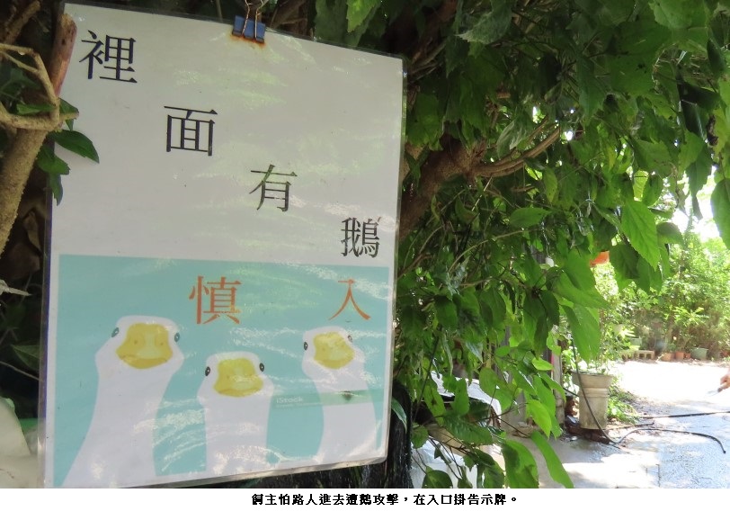 news_photo_2
