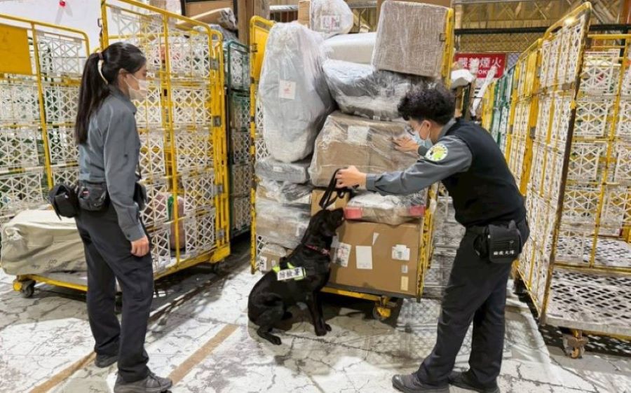 高雄關協同防檢署高雄分署加強查核海運快遞貨物 強化邊境防疫
