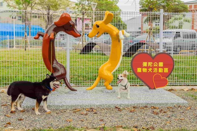 高雄「狗狗小花」盛開中！11處寵物犬活動區啟用再增3處