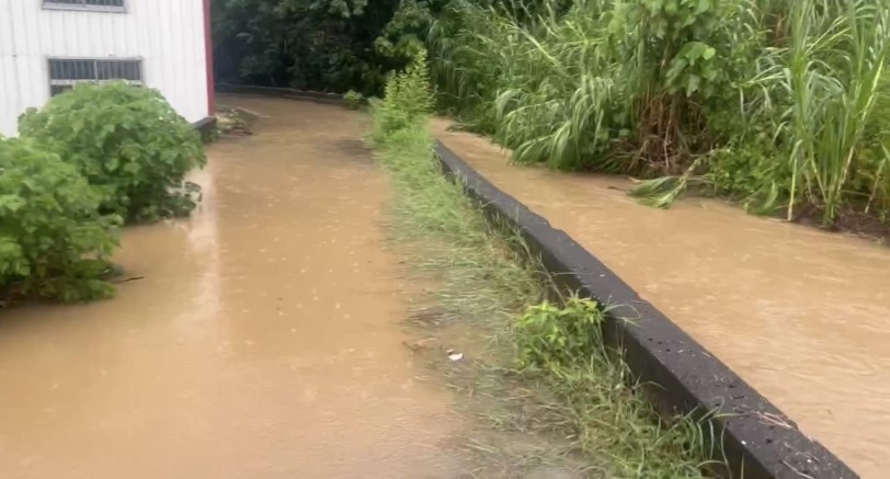 豪雨影響水質  溪洲罕見停水