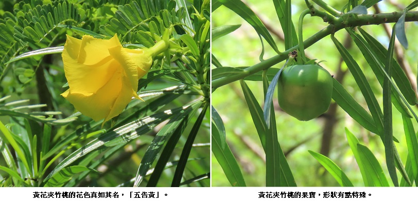 news_photo_3