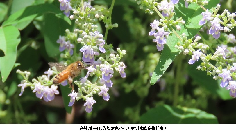 news_photo_4