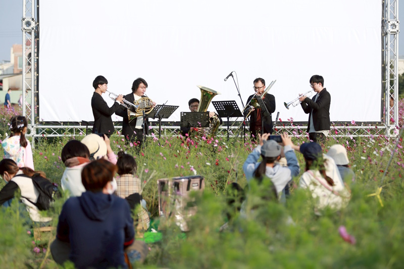 一同在冬初走進嘉義最迷人的花海景色 2025嘉義花海生活節 11/29–30 浪漫登場