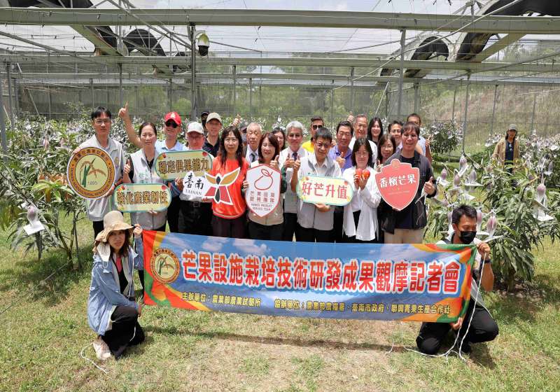 農試所發表芒果設施栽培技術成果 強化產業抗逆境能力