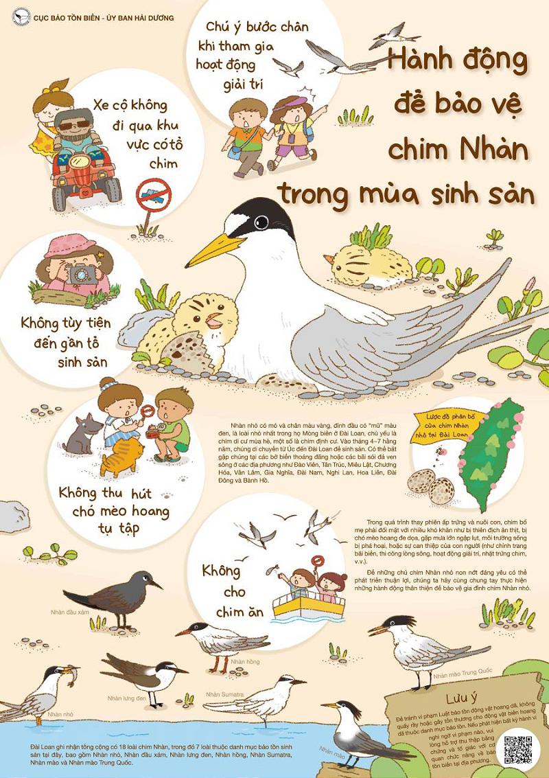 世界生物多樣性日  海保署攜手各界保育小燕鷗與綠蠵龜