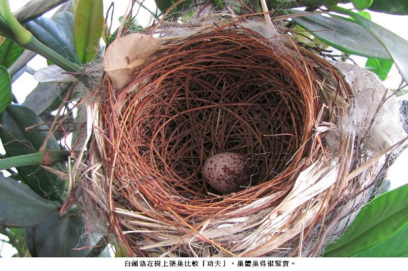 news photo