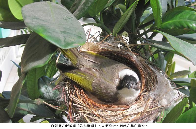 news photo