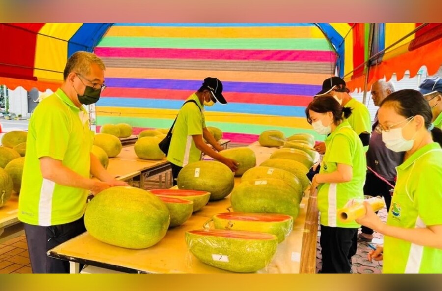 台南學甲西瓜盛產辦選拔促銷