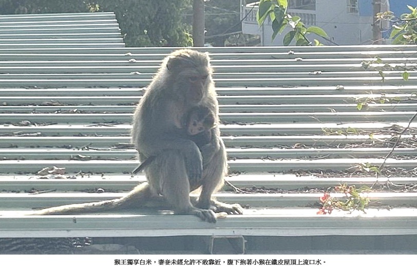 news_photo_1