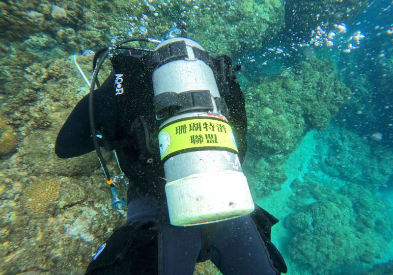 海委會海保署珊瑚特潛聯盟合作店家運動幣消費  加碼折抵金額3月公告