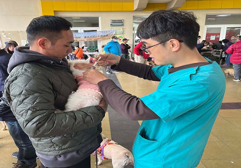 高市農業局動保處115年首前進阿蓮區 助380隻犬貓絕育狂犬病防疫植入晶片