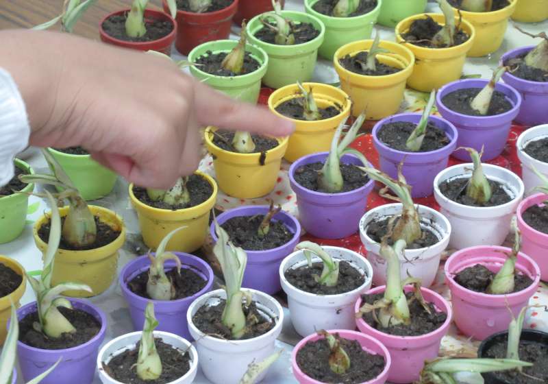 鼓山&左營圖書館共推「龍馬攏好」活動 借5本電子書送綠植