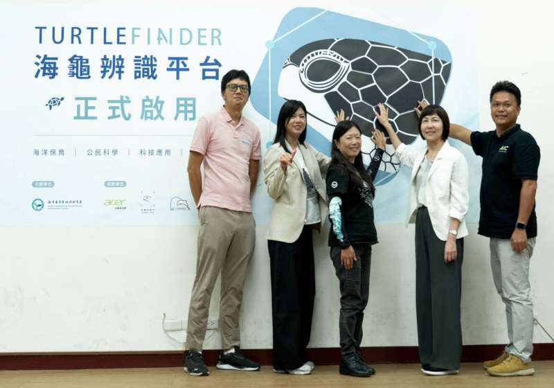 海保署攜手基金會、海保團隊建置海龜辨識平台上線 同步辦工作坊邀全民響應海保