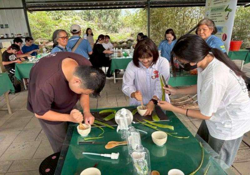 高市農業局2026夏祭新鮮市 金煌芒果、高雄山茶串連食農教育體驗