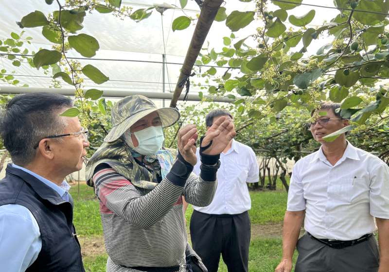強颱薔琵來勢洶洶 高市農業局籲請農友落實田間排水留意採收安全