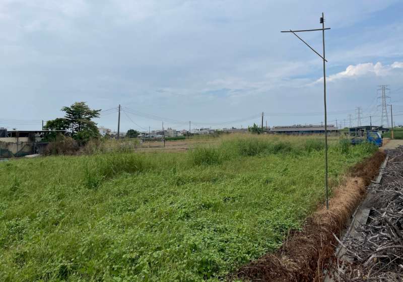 高市農業局生態給付計畫輔導燕巢有機型農設置棲架 首紀錄瀕危物種草鴞覓食