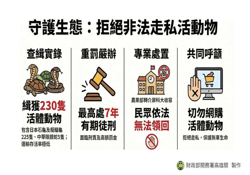 進口活體動物最高處7年以下徒刑開罰300萬元 高雄關籲勿心存僥倖
