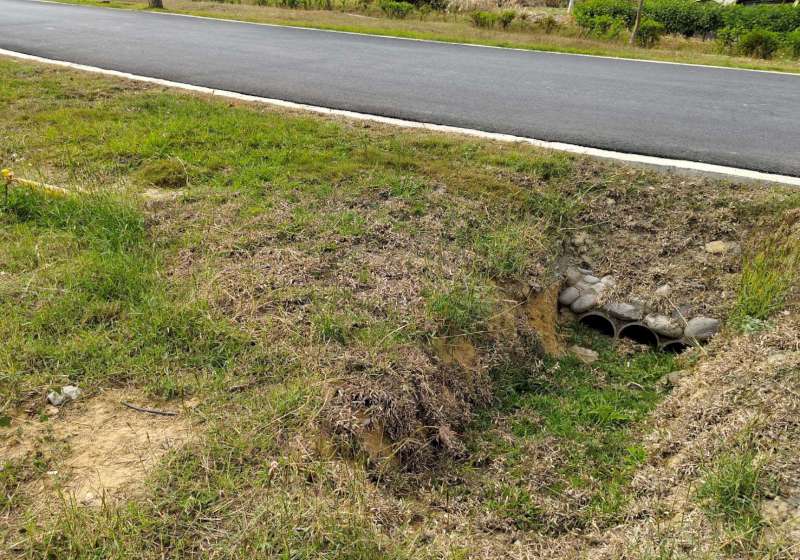 高市工務局新工處優化雙湖森林公園生態通路完工 提升聯外功能守護自然環境