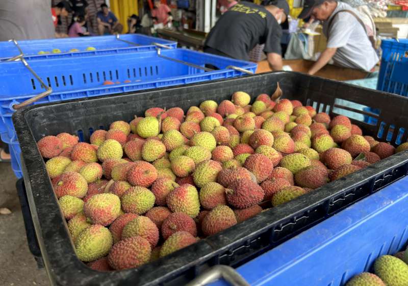 高市玉荷包荔枝115年產量預估14000公噸 獎勵貿易商外銷加碼20%帶動買氣