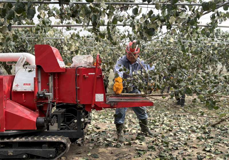 高市農業局促成行農生產合作社攜手美濃、大樹農技團 獲跨區青農支援機具清理農廢