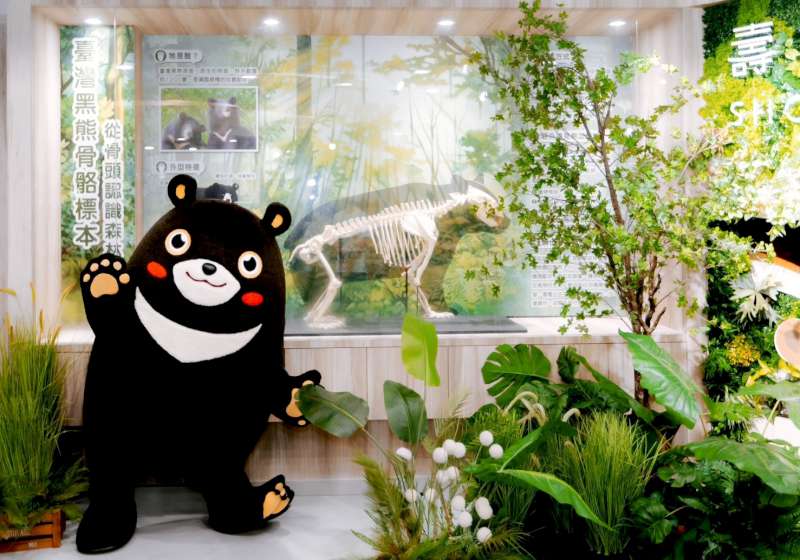 壽山動物園教育中心煥新登場  黑熊標本吸睛
