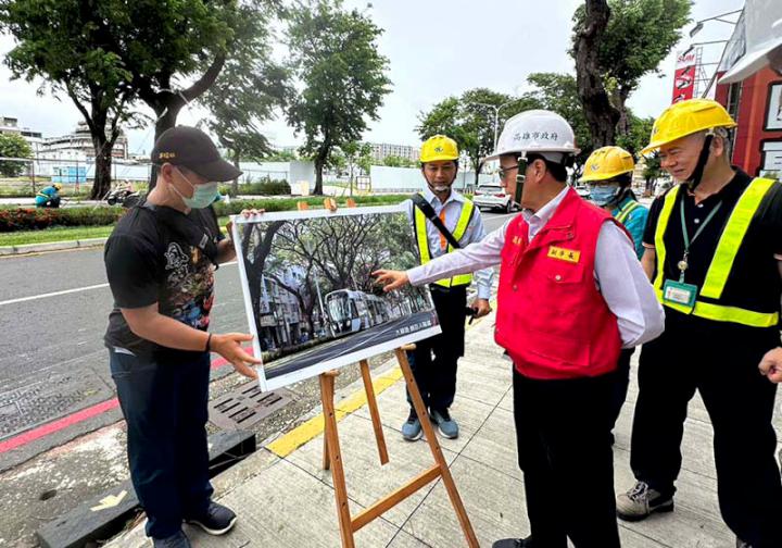 中颱巴威秀襲台 高市府訪視輕軌大順路段雨豆樹加固防汛整備