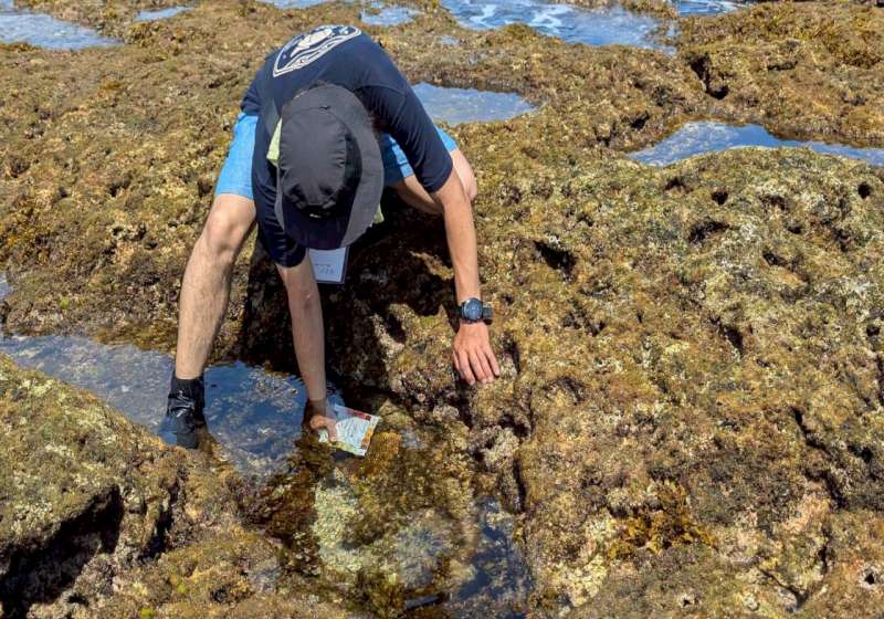 高科大第二屆亞洲CoralWatch珊瑚礁保育親善大使培訓工作坊 揭示世界水中運動聯合會官網 