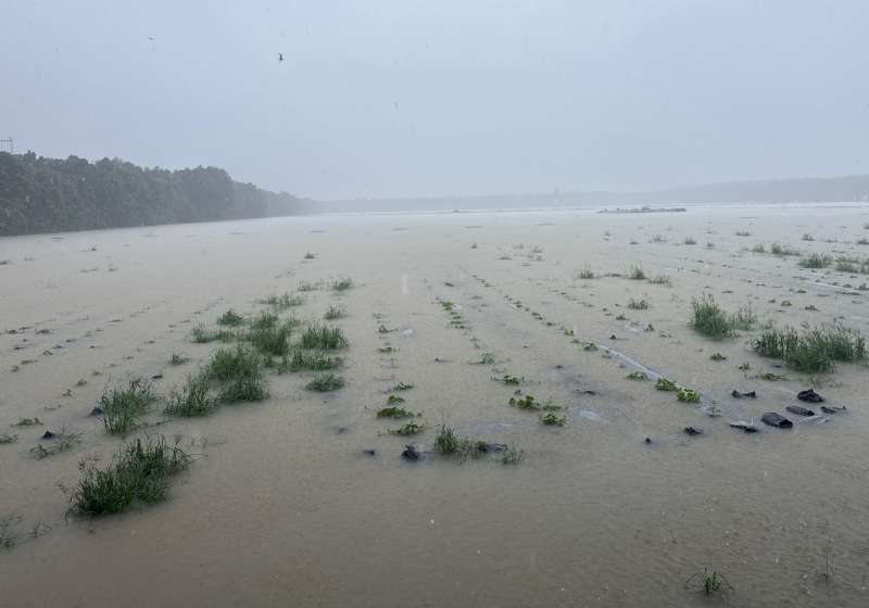 高市8月豪雨農業天災現金救助 農業部展延申請至9月18日