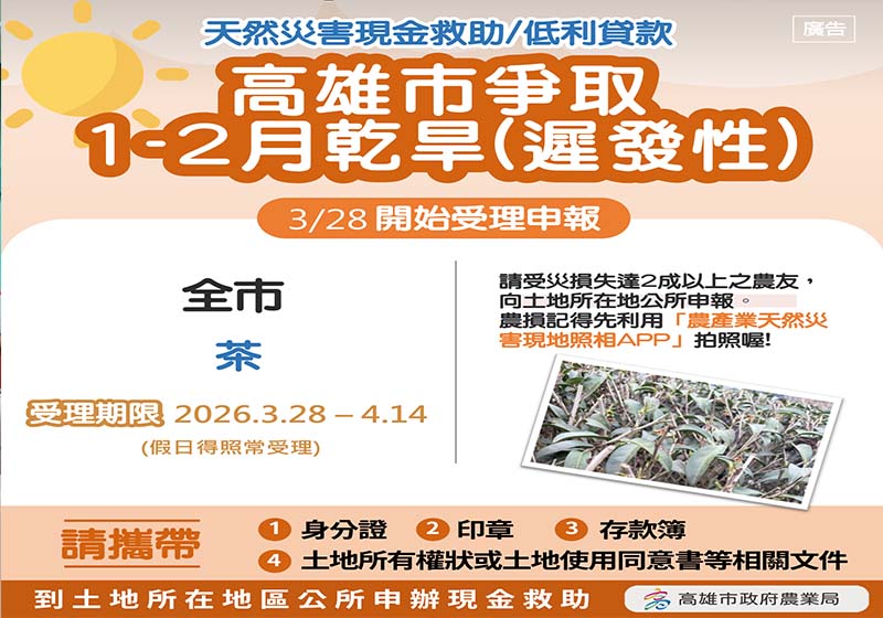 高市115年1、2月雨量少致茶葉萌芽欠佳 農業局爭取每公頃現金救助10萬元