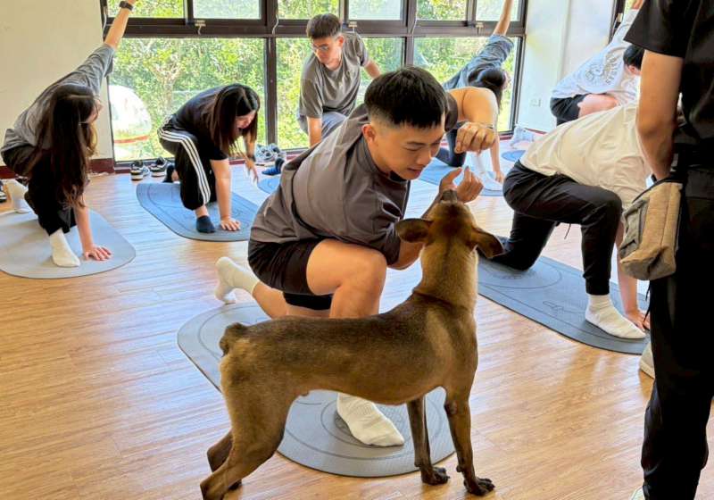 高市農業局動保處犬貓治癒日活動 健身品牌百名教練體驗犬隻沐浴、瑜珈、牽繩散步
