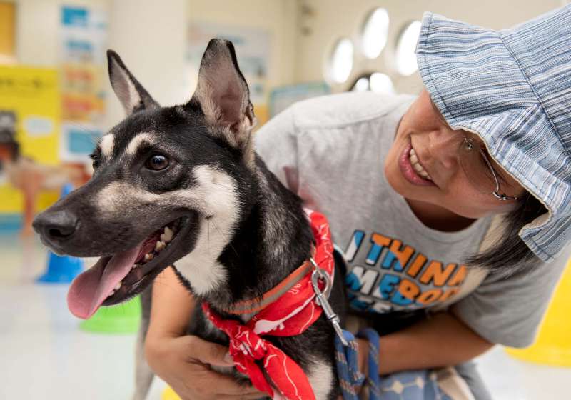 高市農業局動保處好伴狗狗樂陪計畫首採動物處方概念 陪跑課程5月開課
