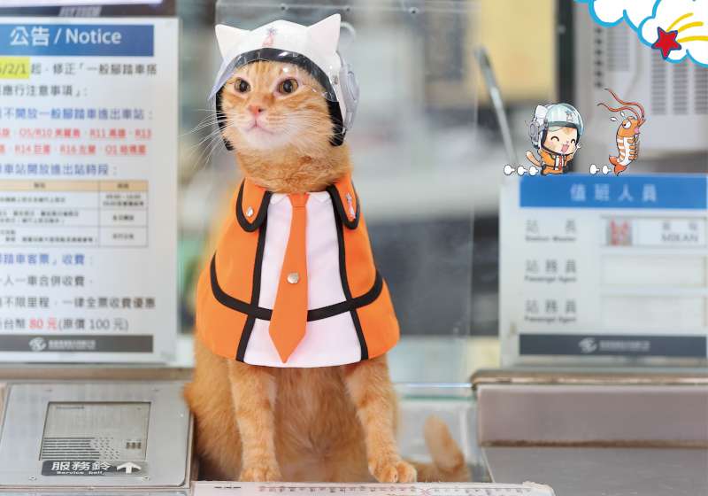 高捷貓站長蜜柑攜手廉航推日本岡山縣聯名航班 期間限定3款輕軌列車陪伴旅程